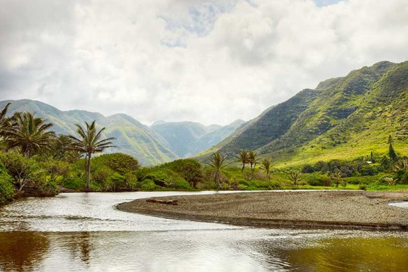 Halawa Valley 0364