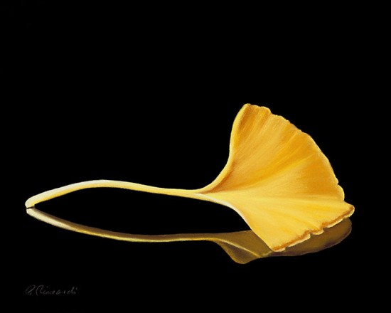 "Ginko Leaf"