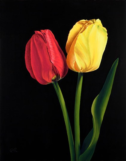"Red and Yellow Tulips"