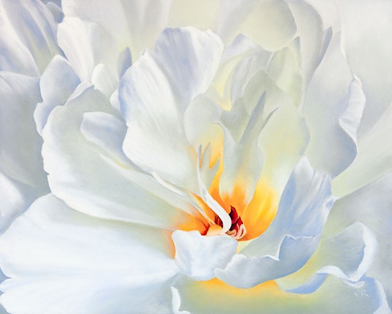 "White Peony 2"