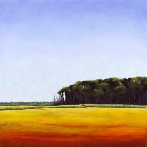 Marsh in Cape May NJ at sunrise Landscape Painting Fine Art Print