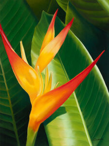 Orange and Yellow Heliconia Pastel Painting fine art print