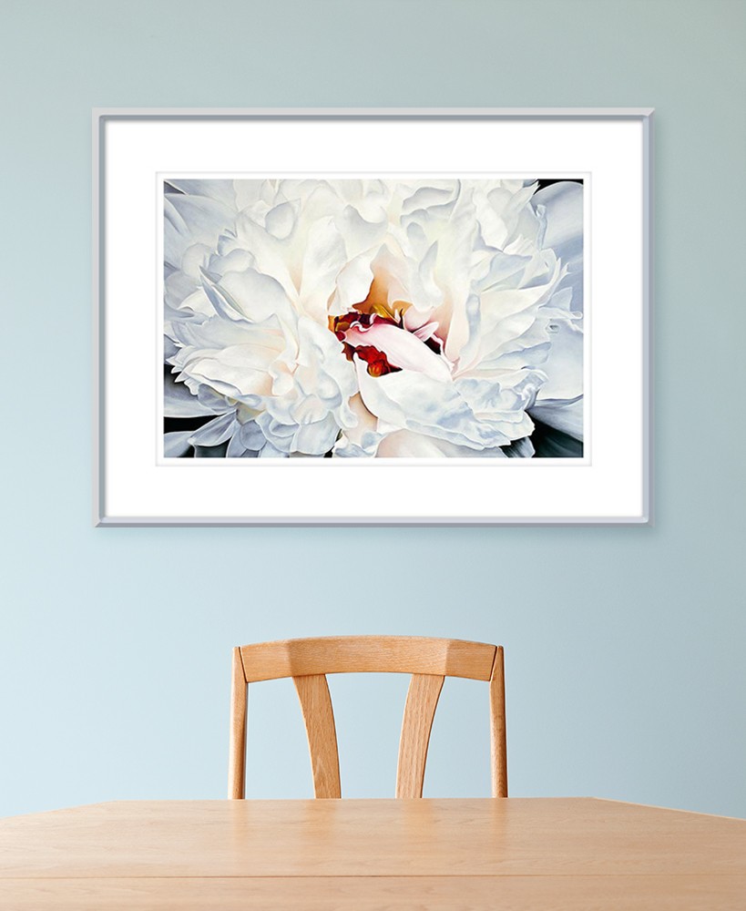 White Peony Flower Pastel Painting Fine Art Print in a room setting