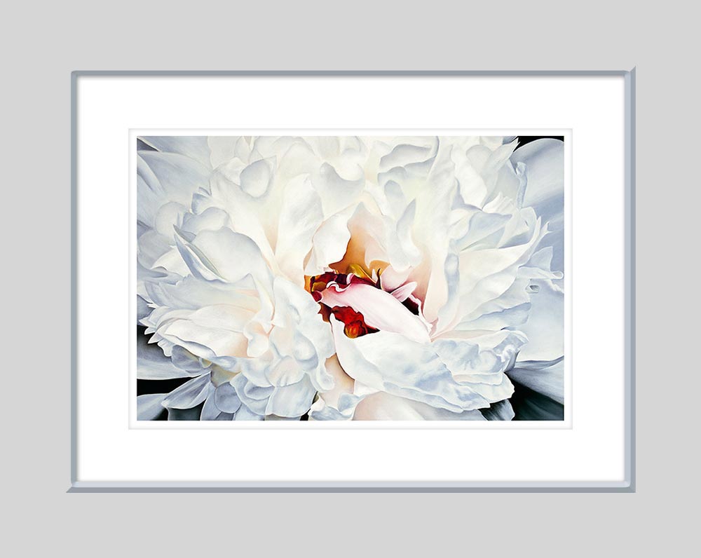 White Peony Flower Pastel Painting Fine Art Print illustrated in a frame